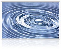 1731311303.jpg 2019311113600.jpg